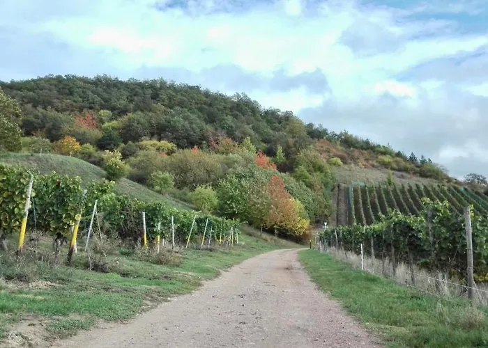 Wanderglueck Rotenfels