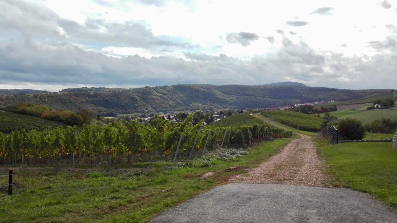 Wanderglueck Rotenfels *